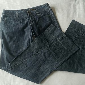 Level 99 Low Rise Wide Leg Dark Wash Denim Jean 27
